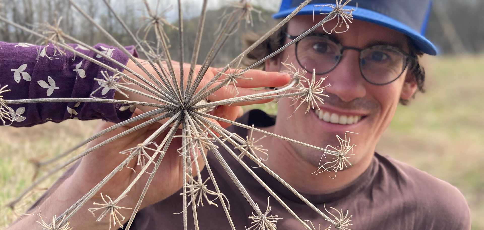 Eric Howey relaxing with a piece of cow parsnip